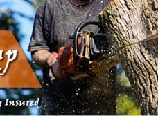 Chainsaw cutting a trunk in a marketing-composite photo