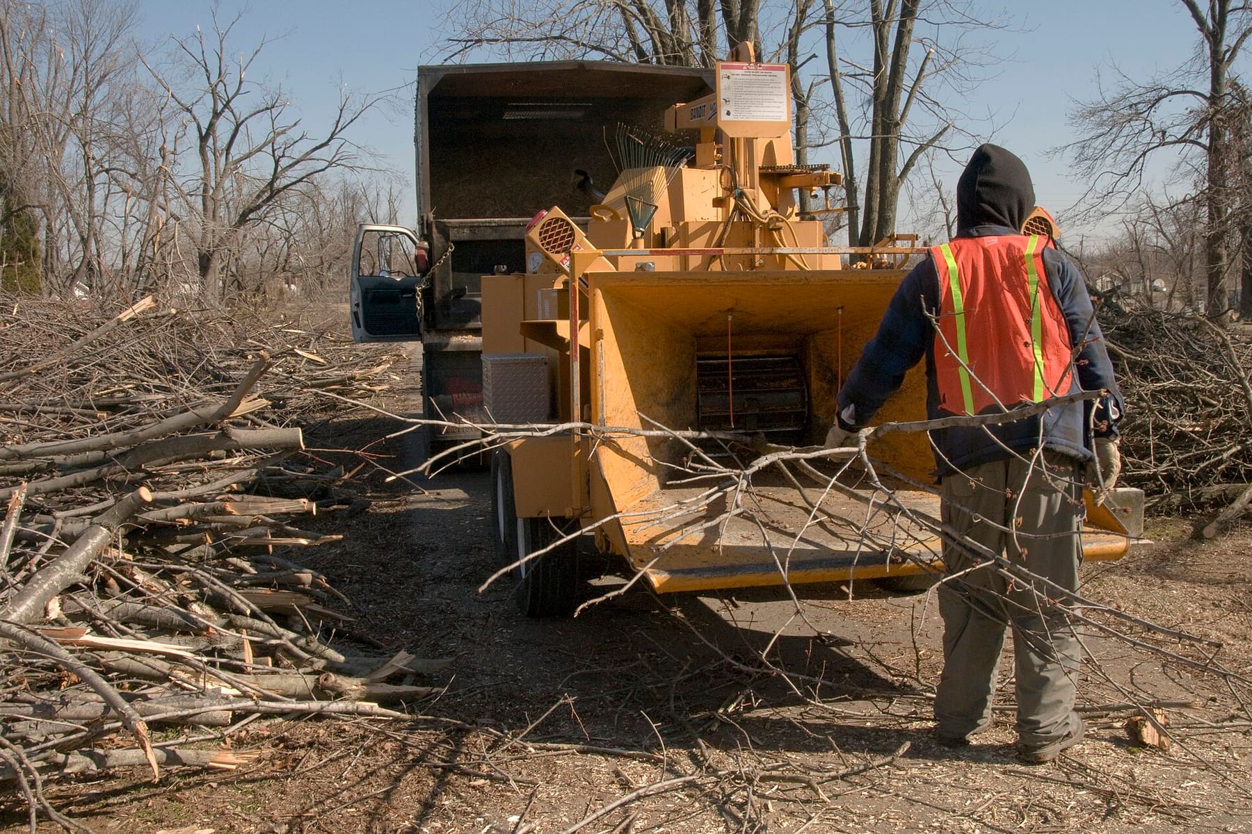 Tree debris being fed into a wood chipper after storm cleanup