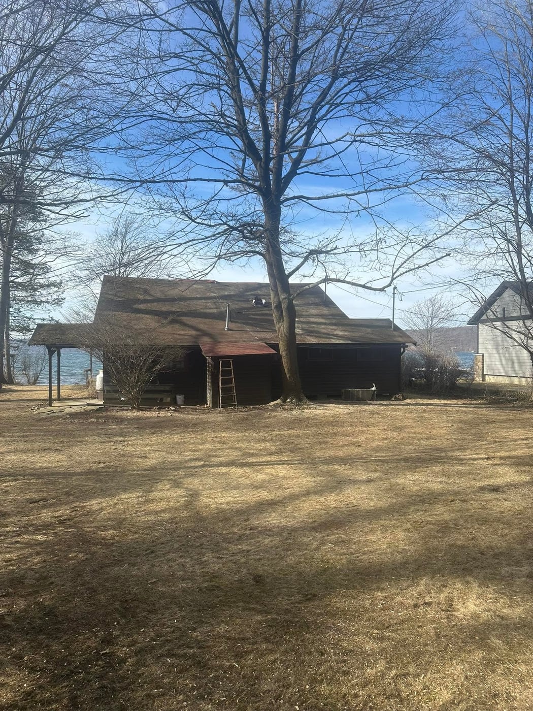 Winter yard and tree-work result near an outbuilding
